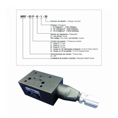 Modular relief valve - Bezares