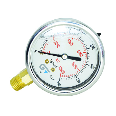 Manómetro Genebre Glicerina 10000