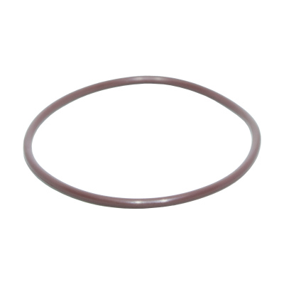 O-RINGS V75-030